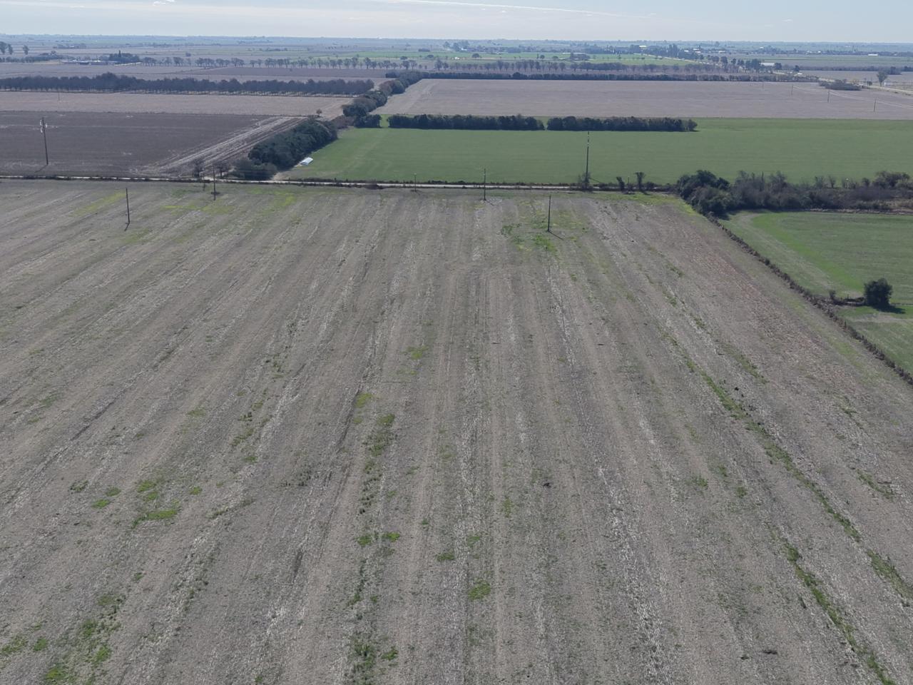 Foto de Campo en San Carlos Centro, imagen 2