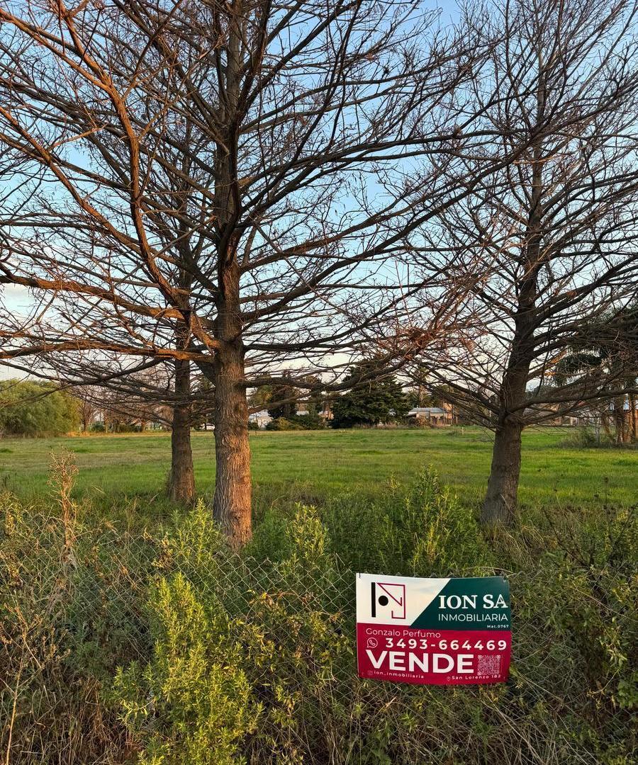 Foto de Terreno en Nuevo Torino, imagen 1