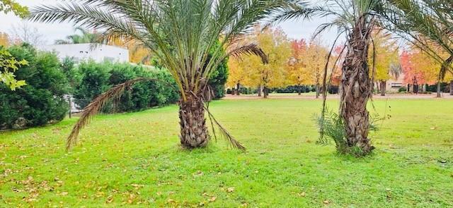 Lote en venta  Las Cañuelas Club de Campo