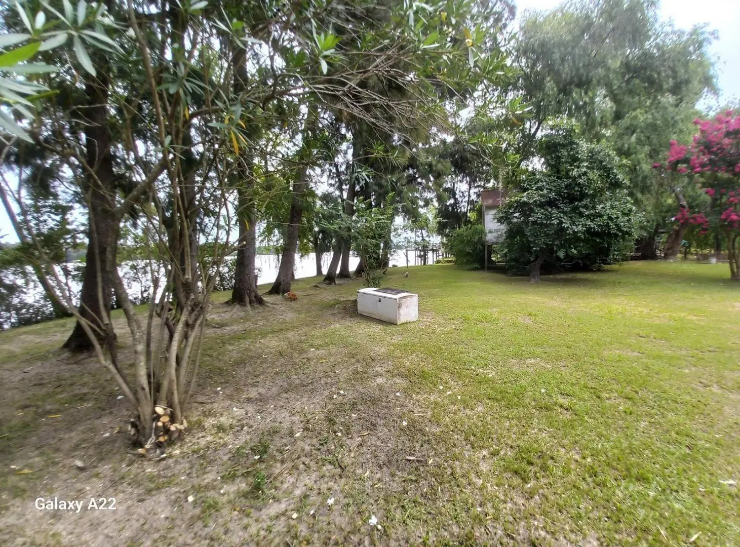 Venta Casa Isla 3 ambientes río Paraná de las Palmas Terreno grande 5