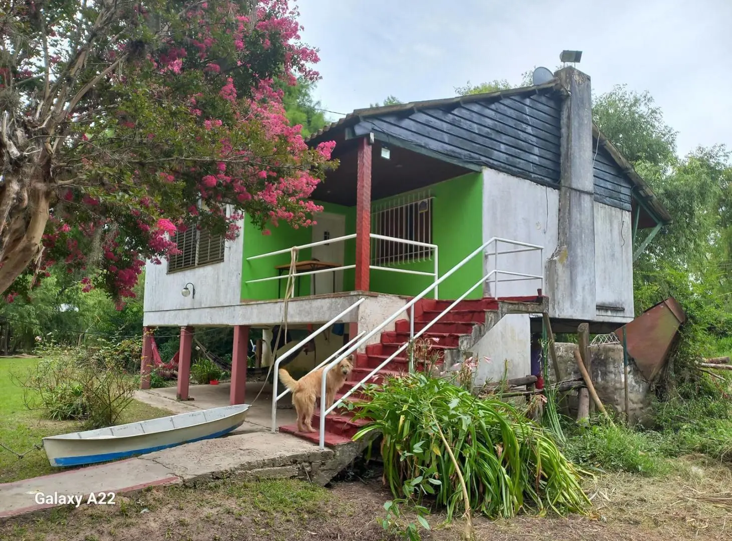 Venta Casa Isla 3 ambientes río Paraná de las Palmas Terreno grande 2