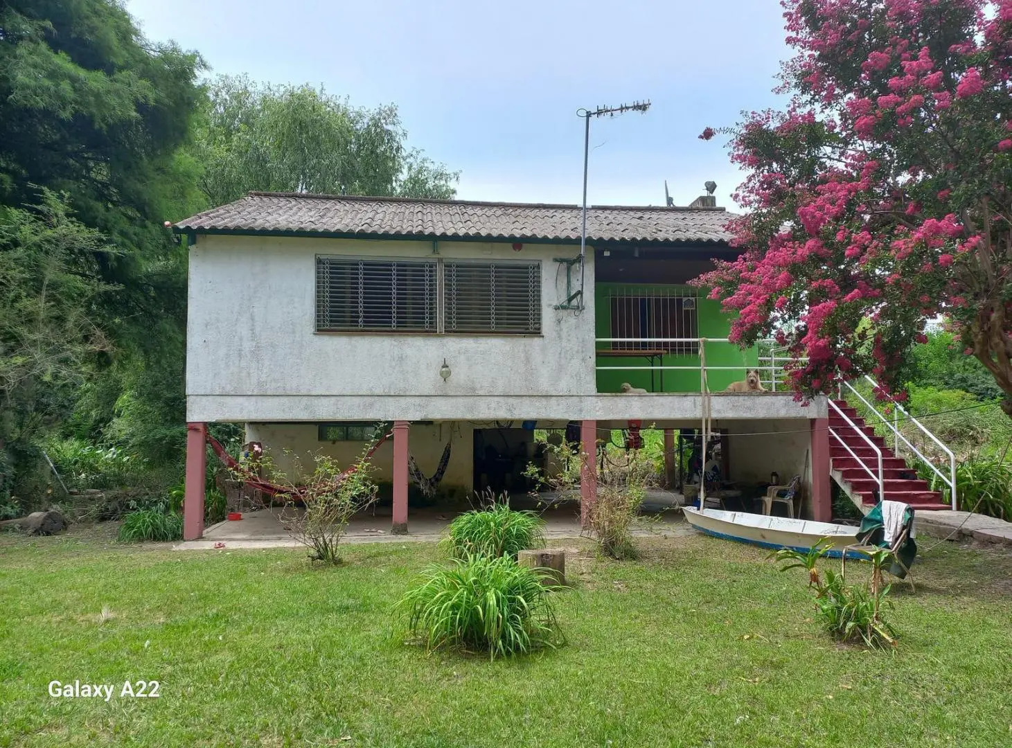 Venta Casa Isla 3 ambientes río Paraná de las Palmas Terreno grande 3