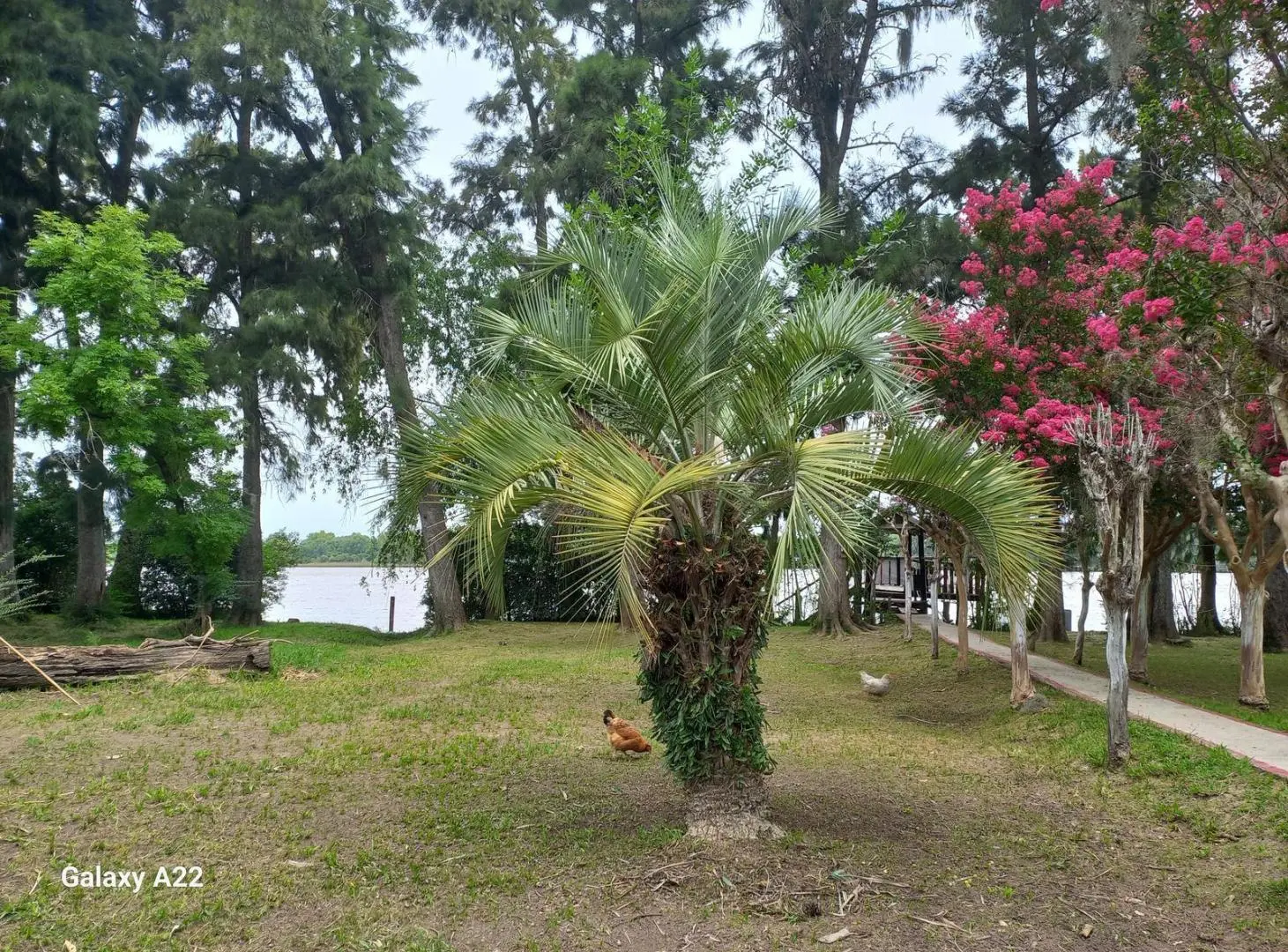 Venta Casa Isla 3 ambientes río Paraná de las Palmas Terreno grande 4