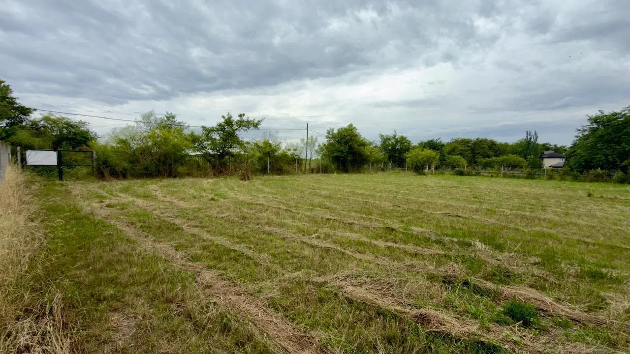 Terreno Venta 2500m2 Escritura Inmediata Ideal Quinta Arturo Segui 3
