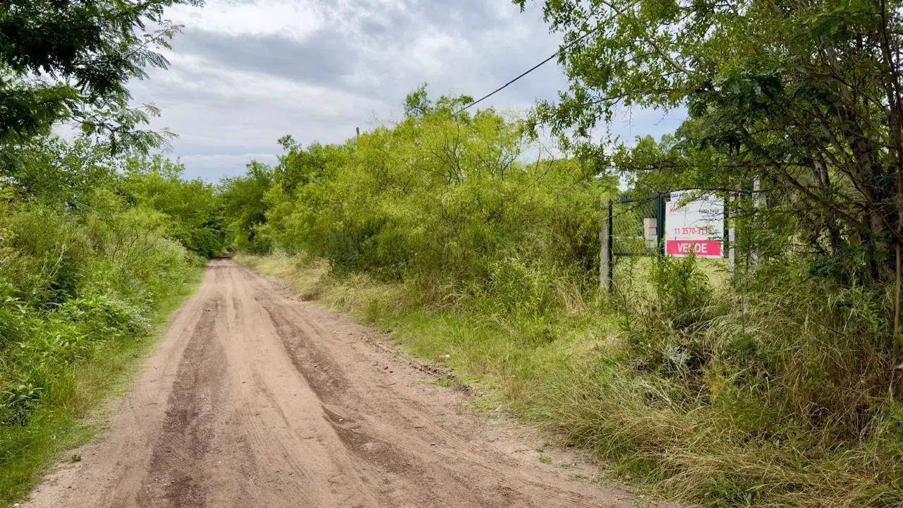 Terreno Venta 2500m2 Escritura Inmediata Ideal Quinta Arturo Segui 5