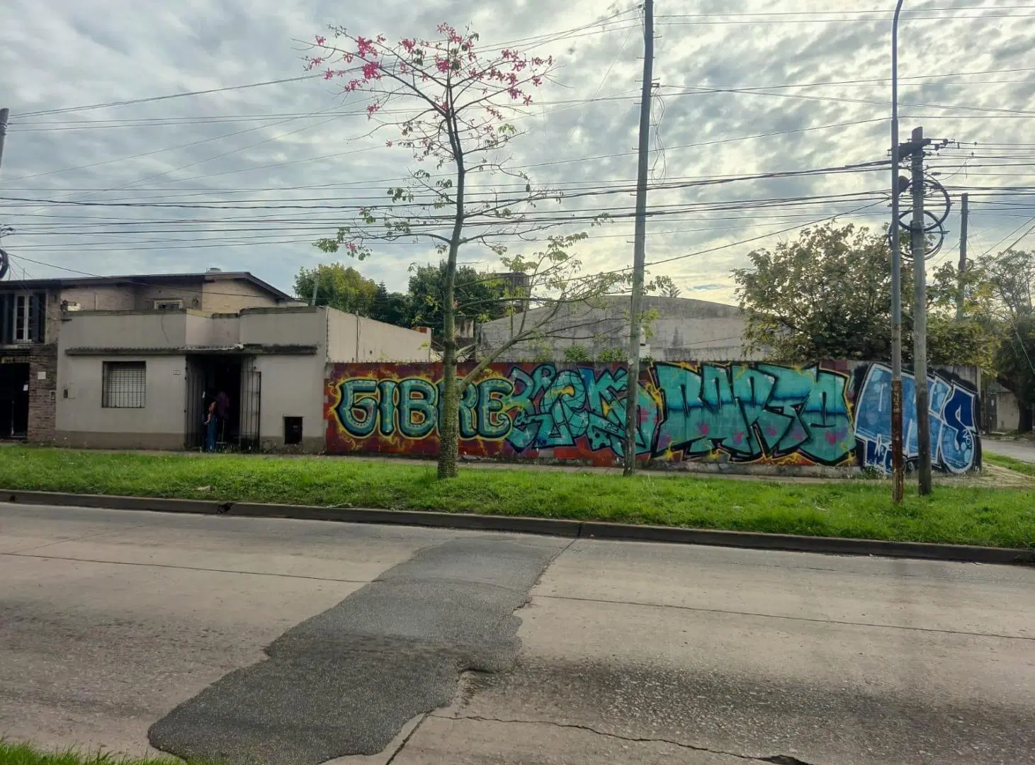 Terreno en Haedo 2