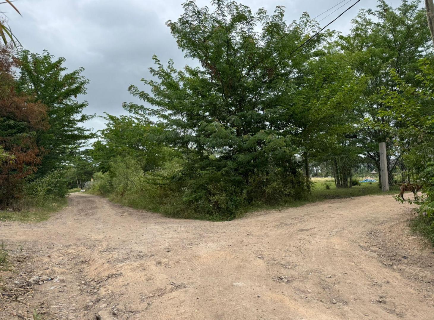 Foto de Venta Lote 1550m² Arturo Seguí La Plata, imagen 4