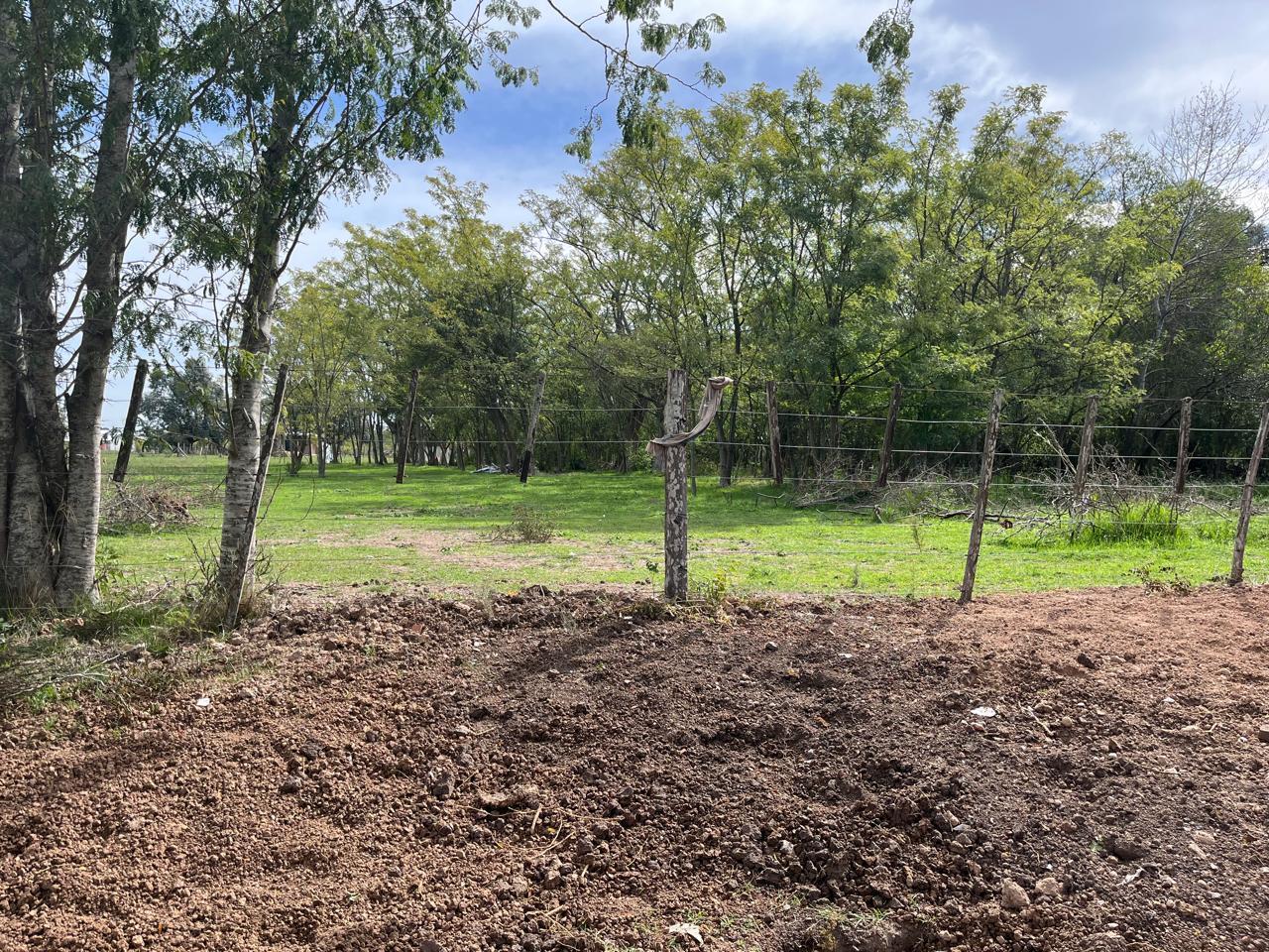 Foto de Venta Lote 1550m² Arturo Seguí La Plata, imagen 1
