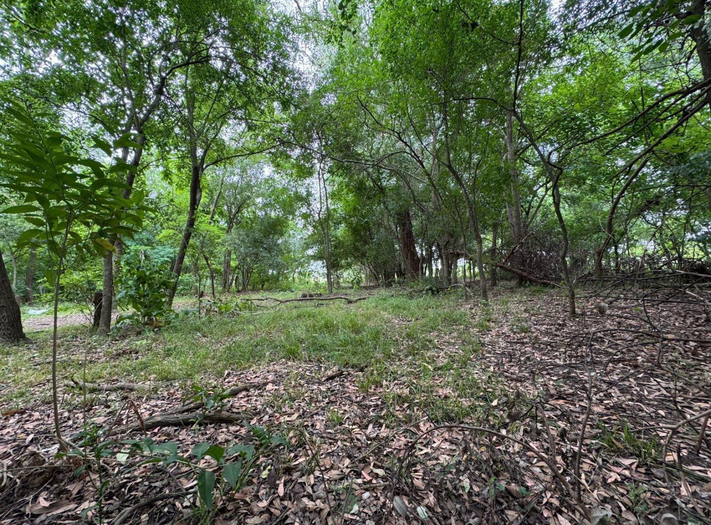 Foto de Venta Lote 1550m² Arturo Seguí La Plata, imagen 5