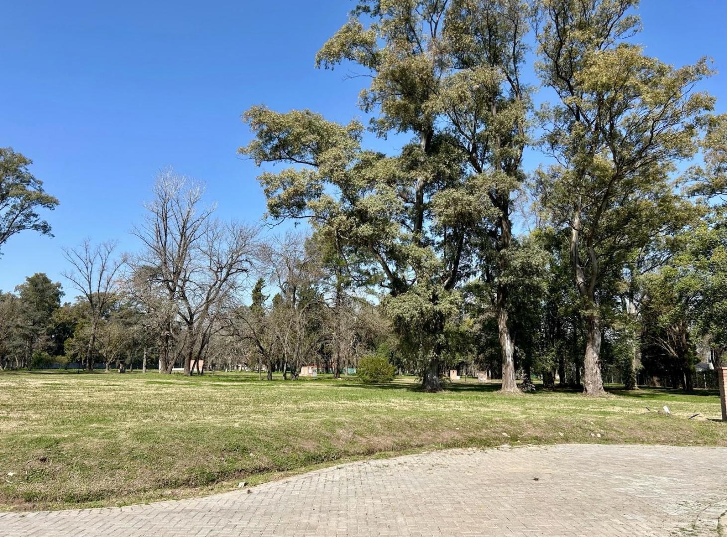 Foto de Lote en venta Almahue Pilar, imagen 4