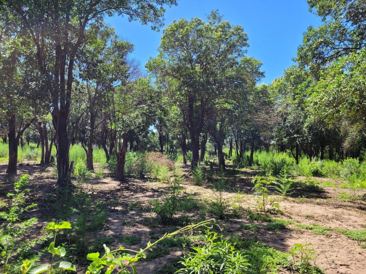 Vendo Lote en Unquillo, 1763 m² en Altos de San José 5