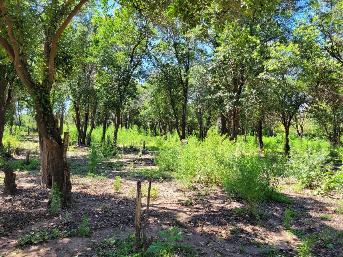 Vendo Lote en Unquillo, 1763 m² en Altos de San José 3
