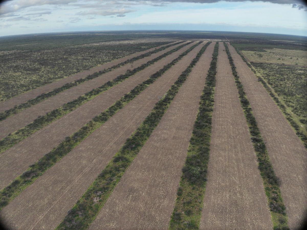 Foto de Venta Campo Mixto - Zona Buena Esperanza - San Luis, imagen 2