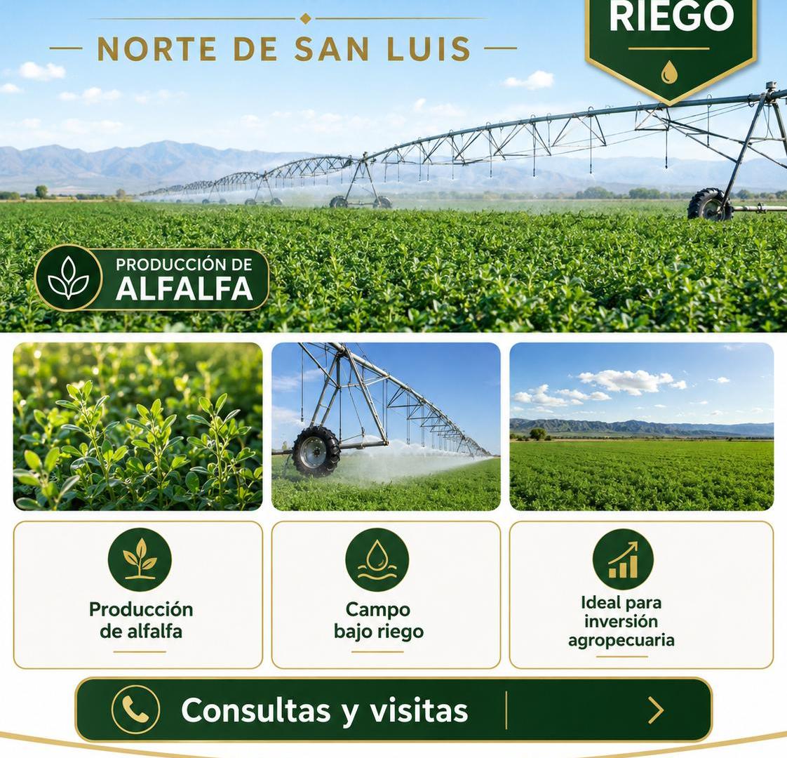 Foto de Campo bajo riego en venta 850 hectáreas en el norte de San Luis, imagen 5