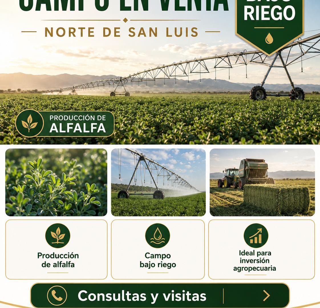 Foto de Campo bajo riego en venta 850 hectáreas en el norte de San Luis, imagen 3