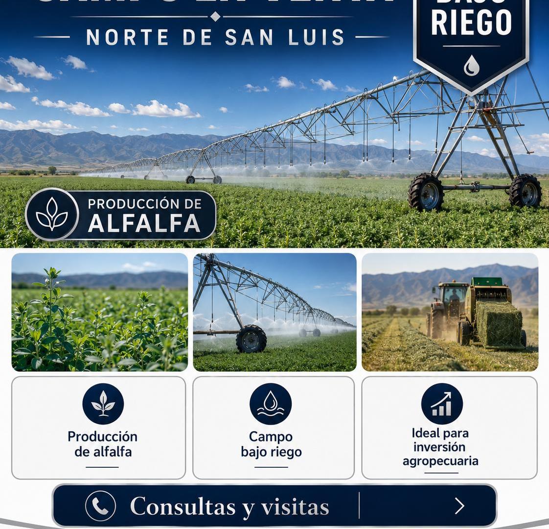Foto de Campo bajo riego en venta 850 hectáreas en el norte de San Luis, imagen 4