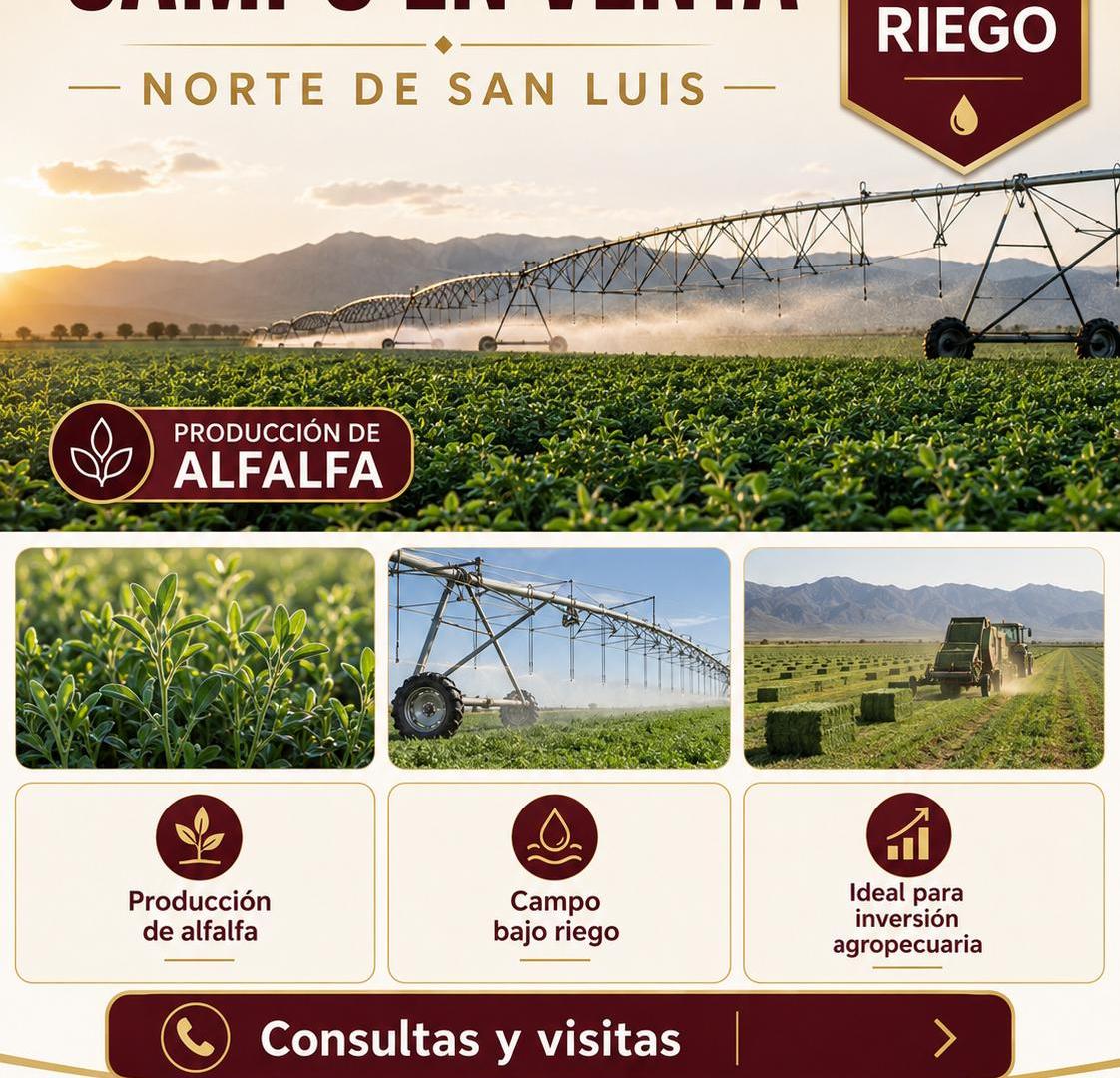 Foto de Campo bajo riego en venta 850 hectáreas en el norte de San Luis, imagen 2
