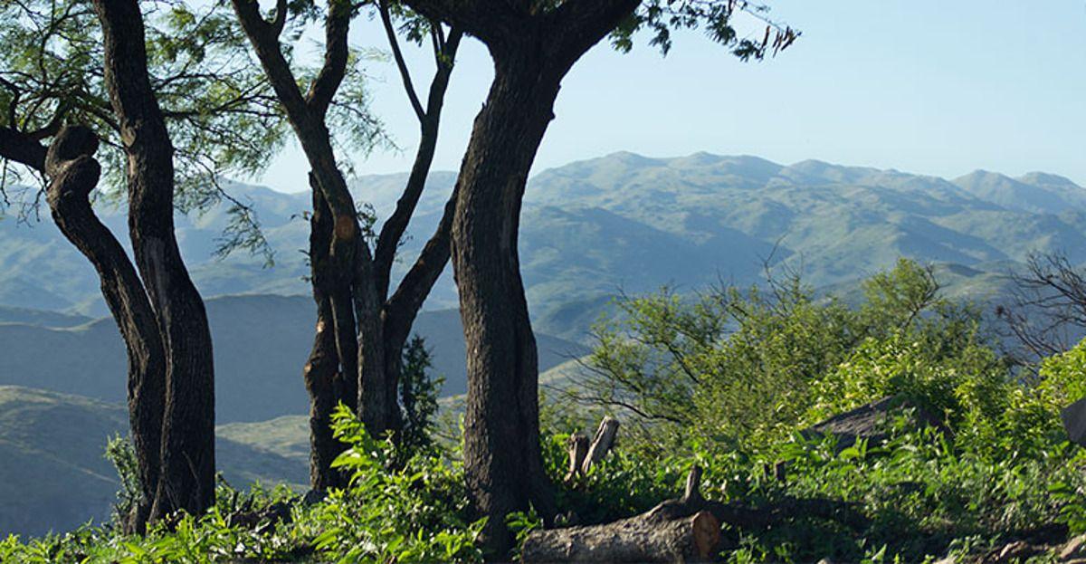 Foto de Venta Lotes en Country La Deseada - La Calera, imagen 2