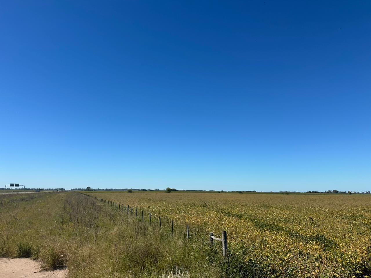 Foto de Campo en Fontezuela, imagen 4