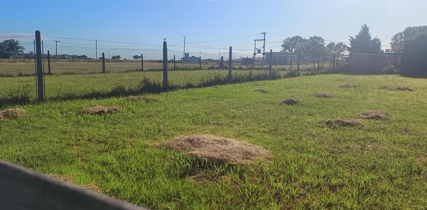 Foto de Terreno en Altos Residencial, imagen 4