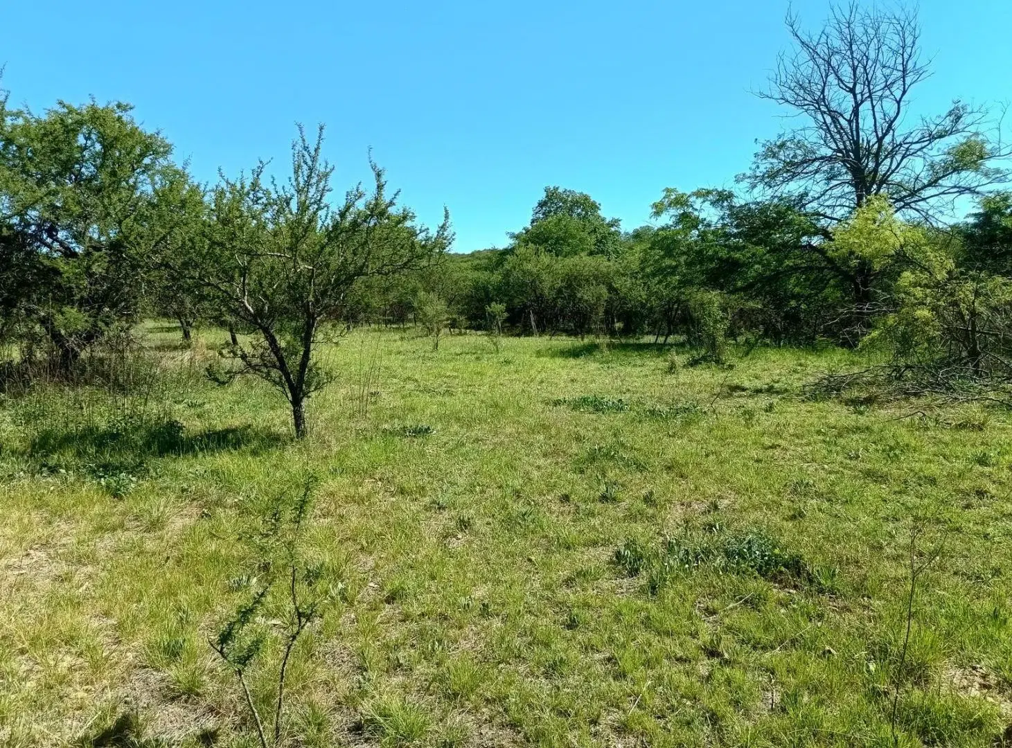 Terreno en venta en La Pampa, sobre el camino a Santa Catalina.  1ha y media. 3