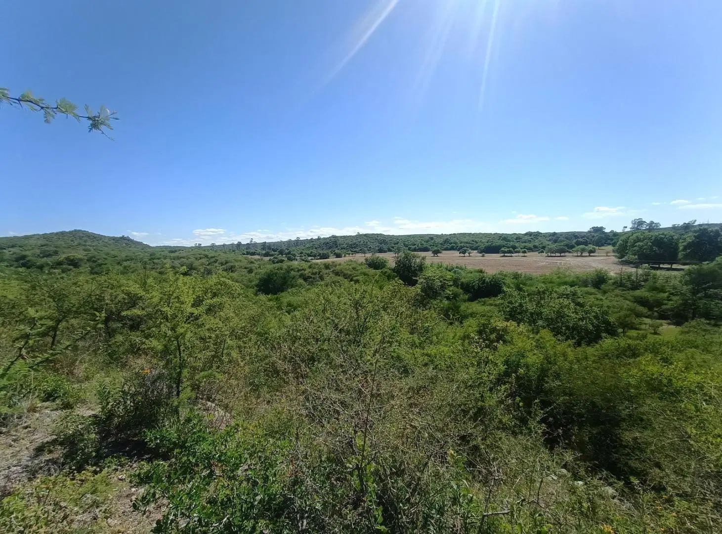 Terreno en venta en La Pampa, sobre el camino a Santa Catalina.  1ha y media. 4