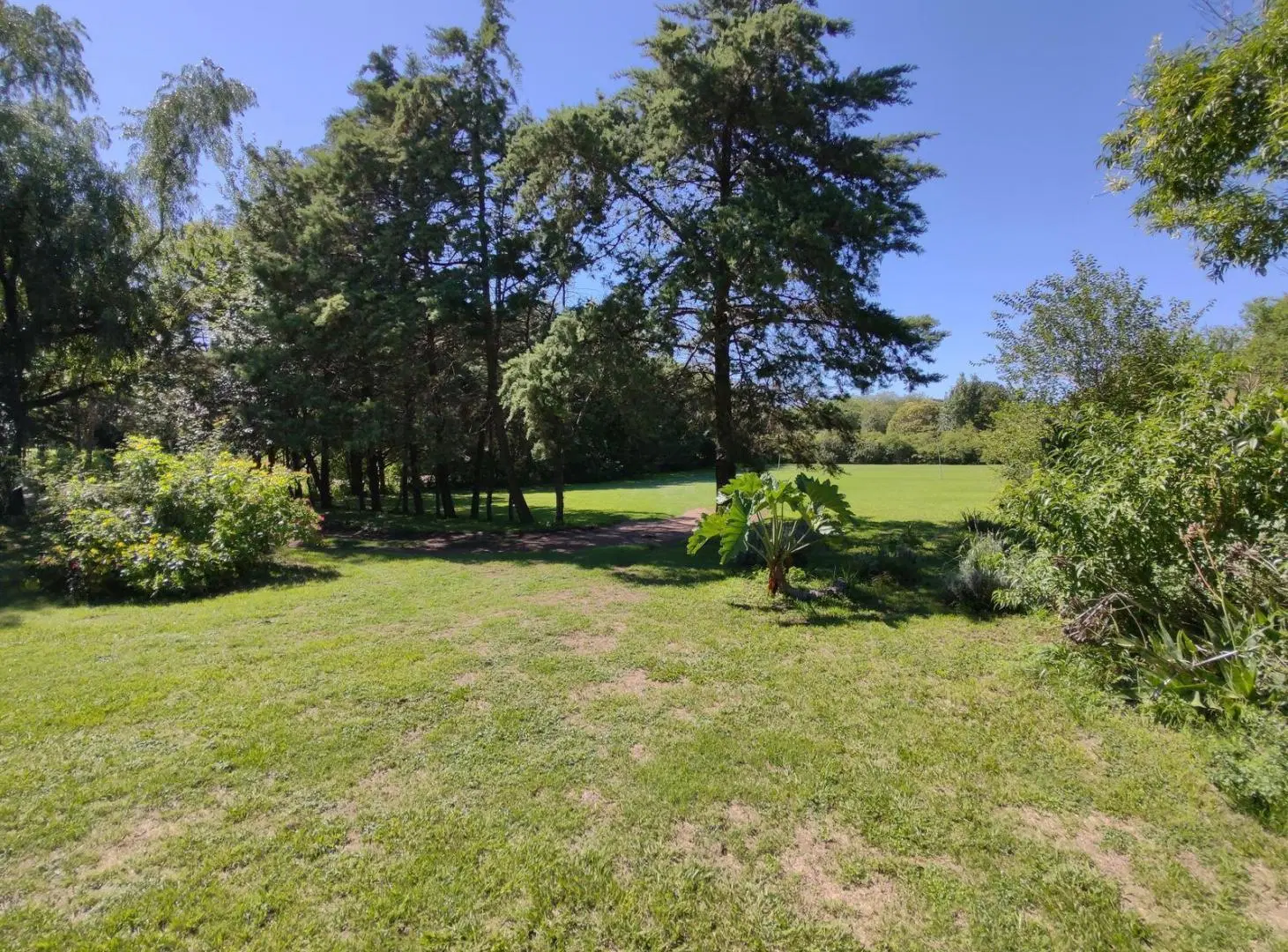 "Venta: Quinta de 1.5 Hectáreas en La Granja | Casa de 3 Dorm Piscina | Apta Crédito" 5