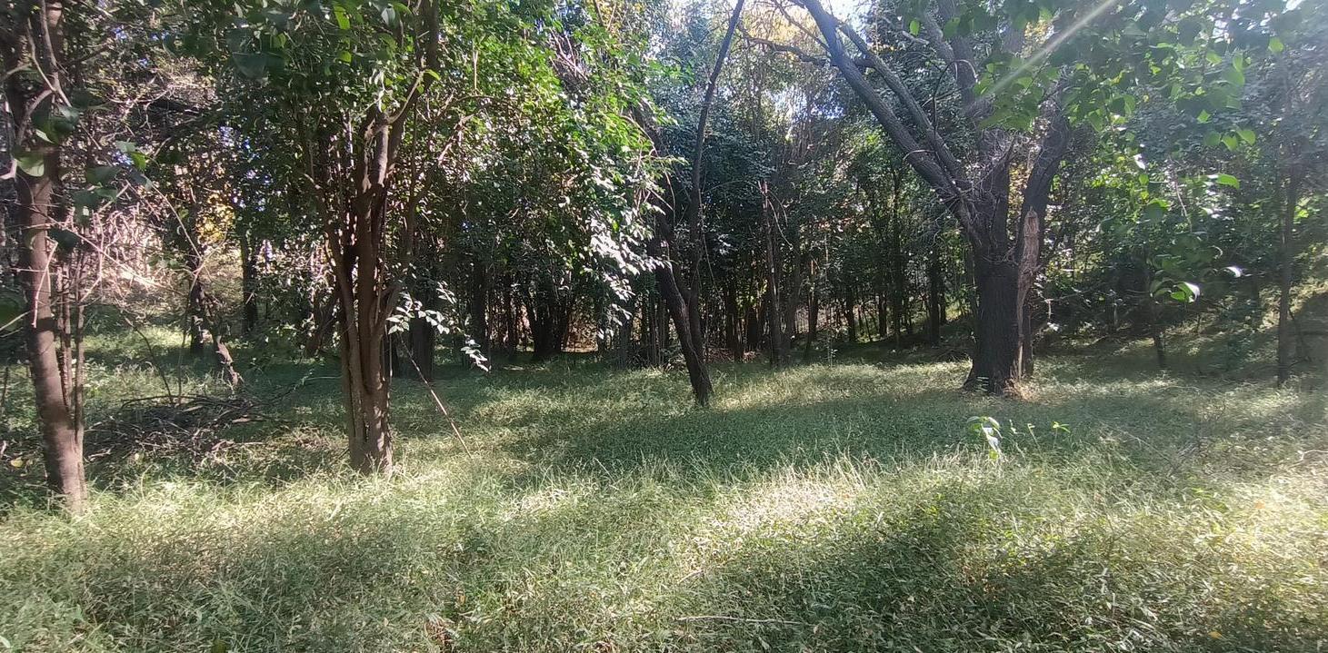 Foto de Oportunidad, lote rebajado en Corral de Barrancas:L Plano de 1.1 Ha con, imagen 4