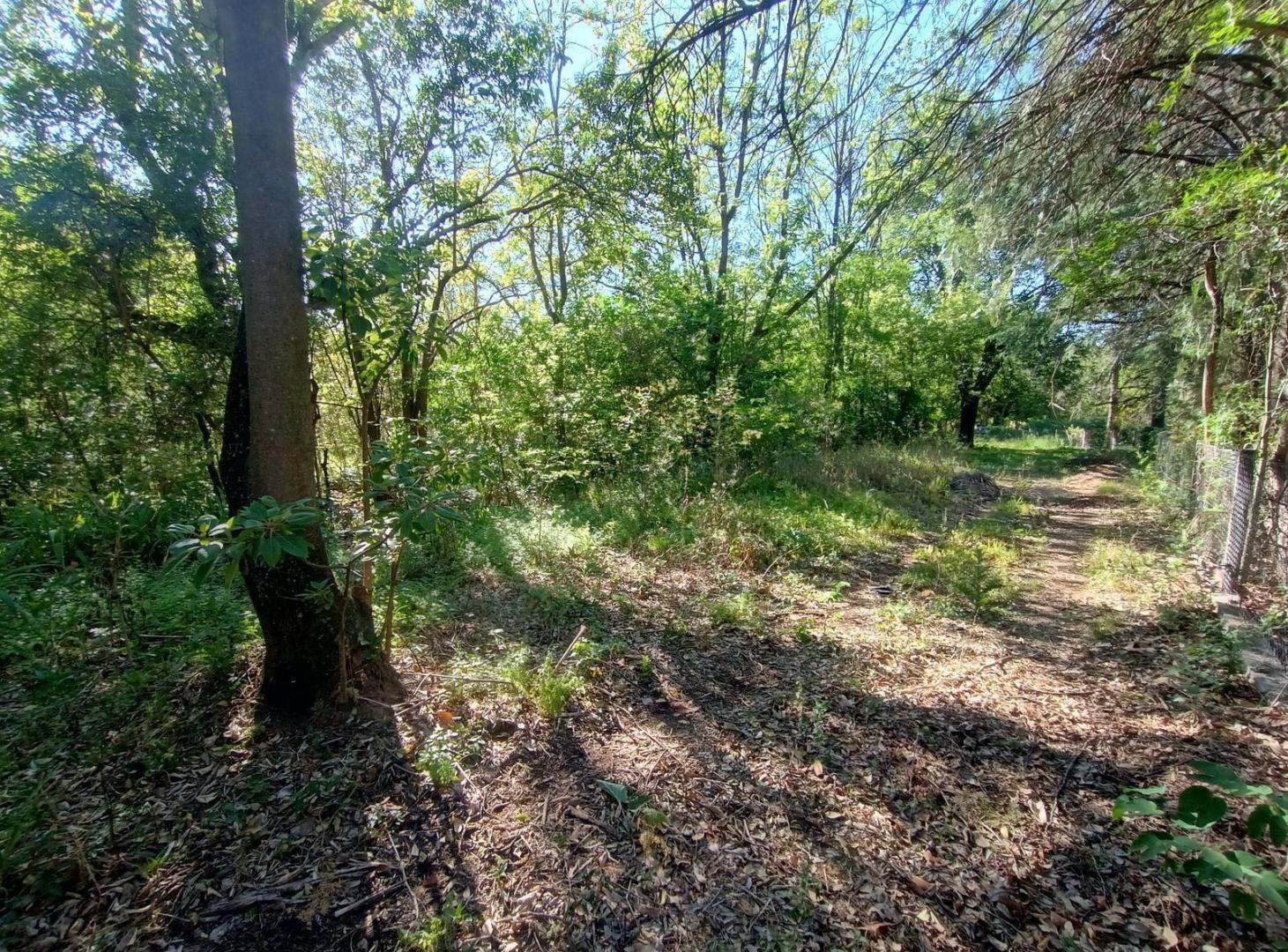 Foto de Lote en venta en La Granja . Esquina , sobre calle las Violetas . A mts, imagen 1