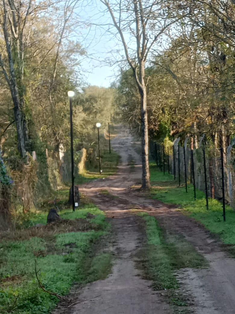 Foto de Oportunidad, lote rebajado en Corral de Barrancas:L Plano de 1.1 Ha con, imagen 2