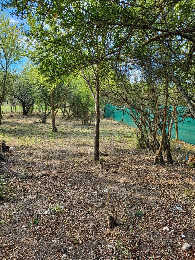Foto de VENDO LOTE EN LA CUMBRE B° LAS MARIAS, imagen 3