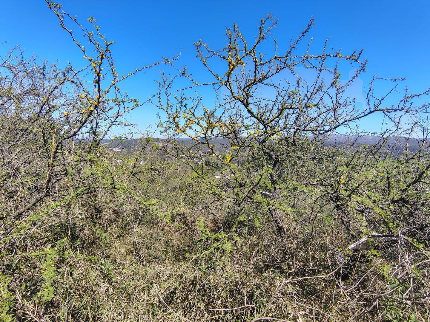 Foto de VENDO LOTES EN RIO CEBALLOS CON VISTAS, imagen 4
