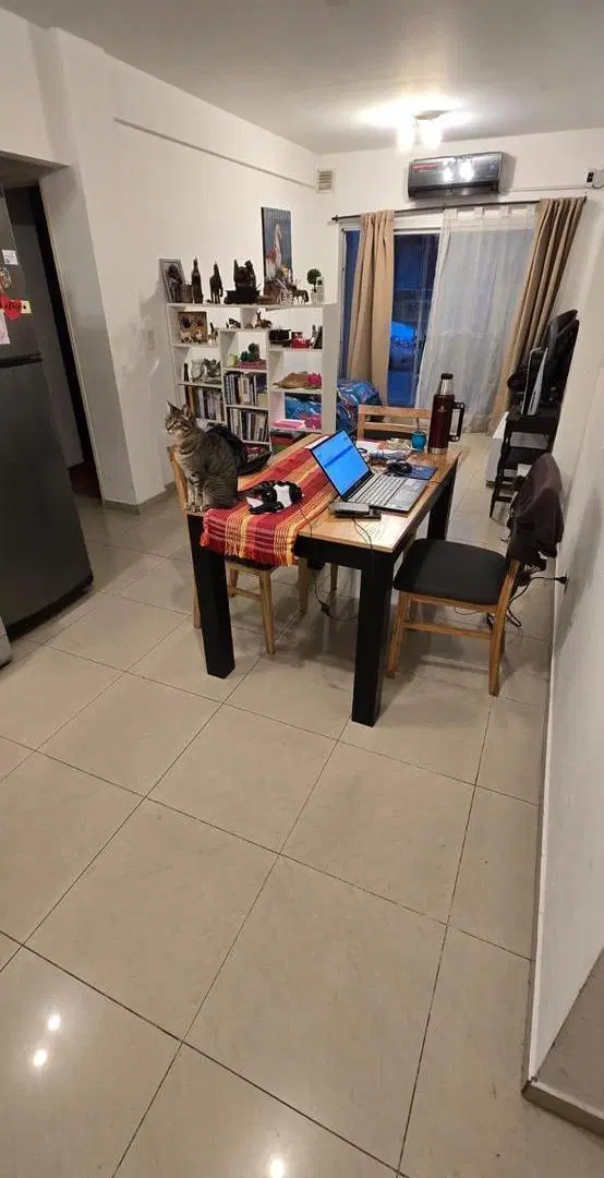 PH DE 2 AMBIENTES EN PLANTA BAJA EN VENTA 3