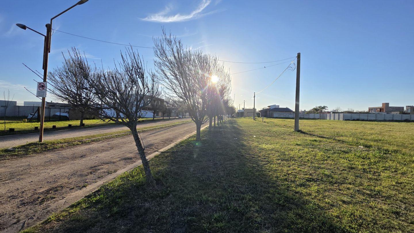 Foto de Lote . | Almirante Brown Bis, imagen 4