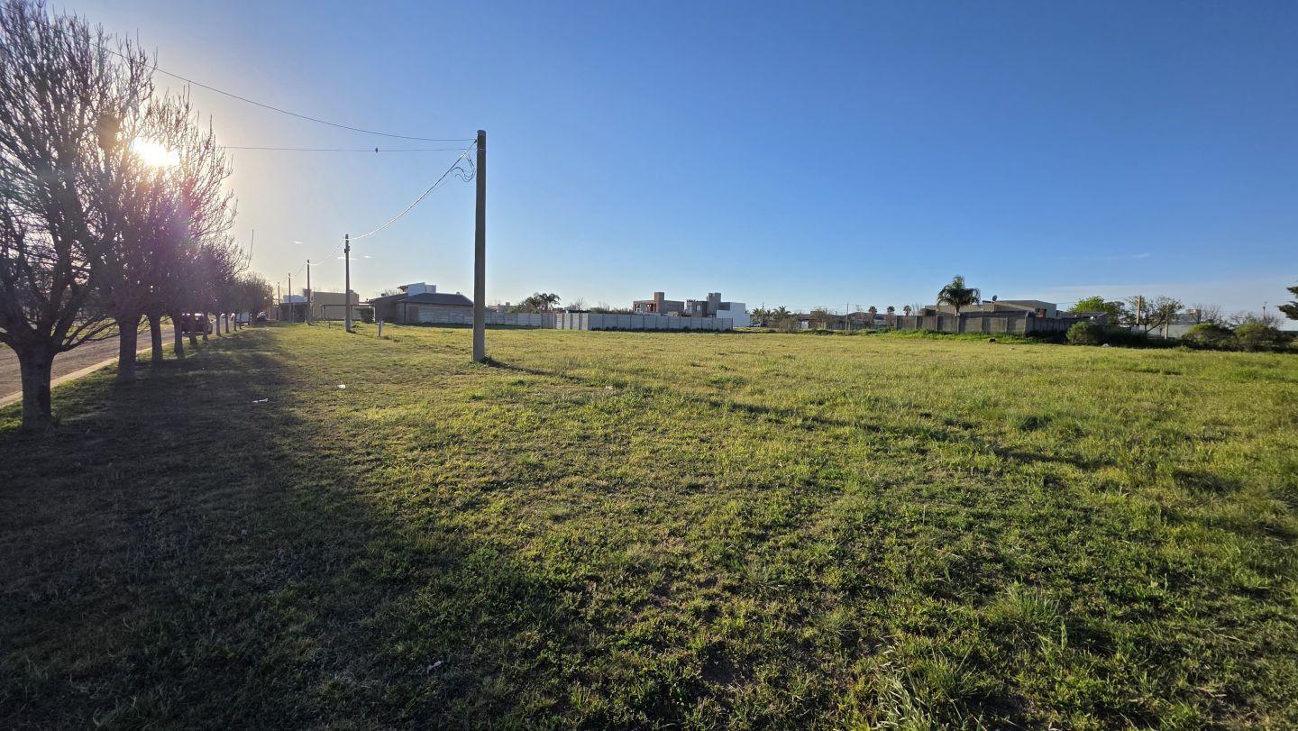 Foto de Lote . | Almirante Brown Bis, imagen 2