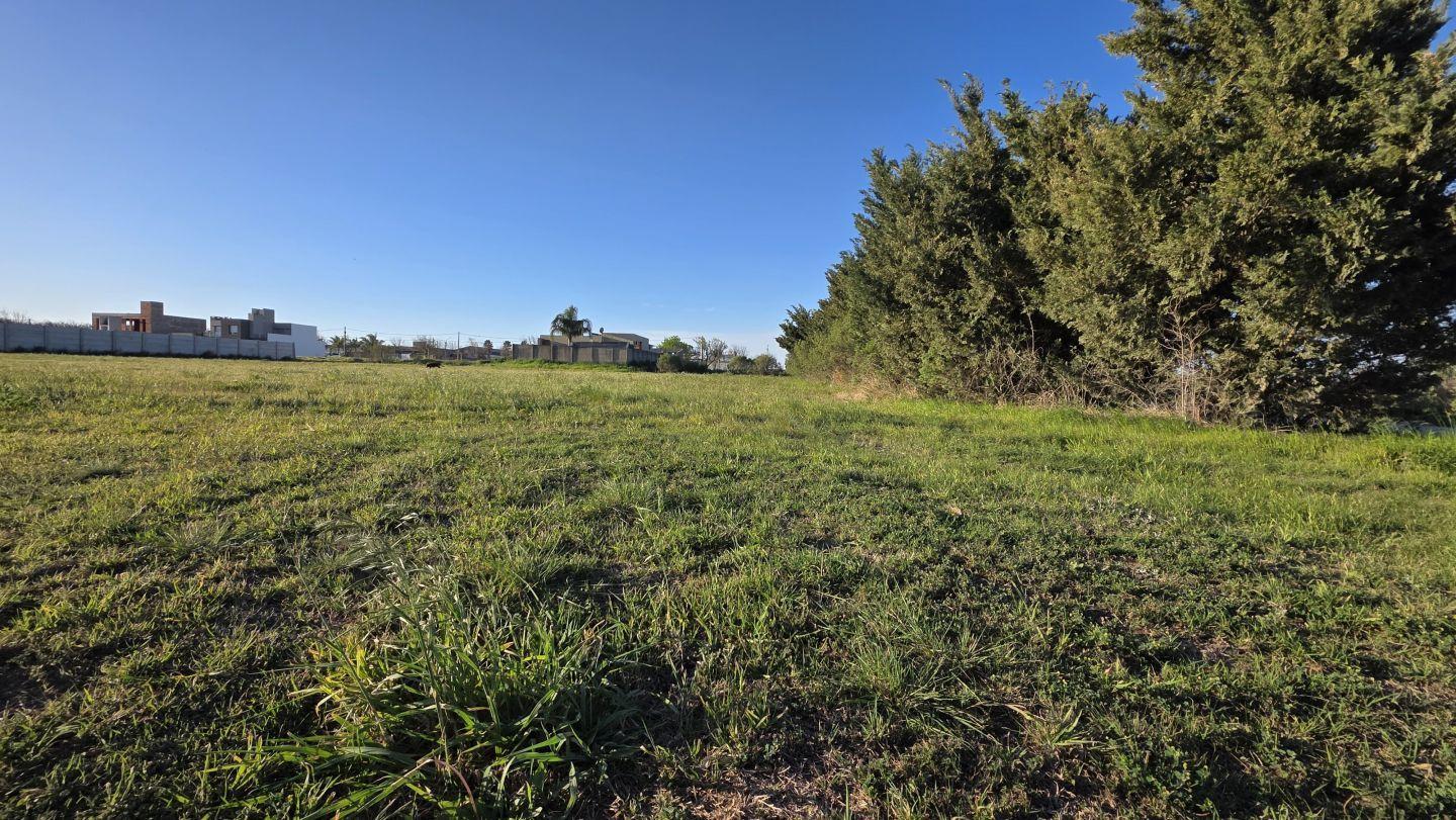 Foto de Lote . | Almirante Brown Bis, imagen 5