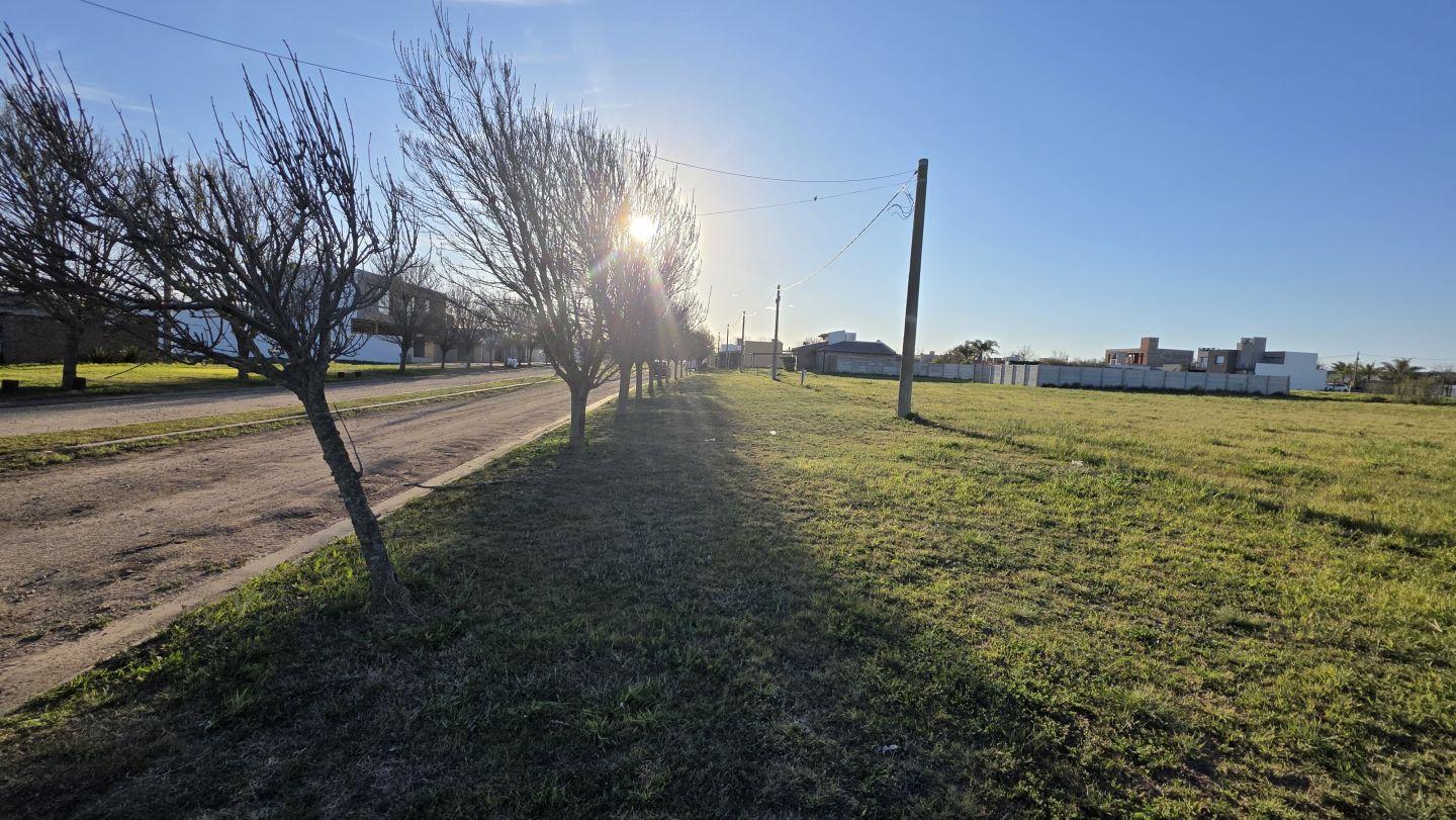 Foto de Lote . | Almirante Brown Bis, imagen 4