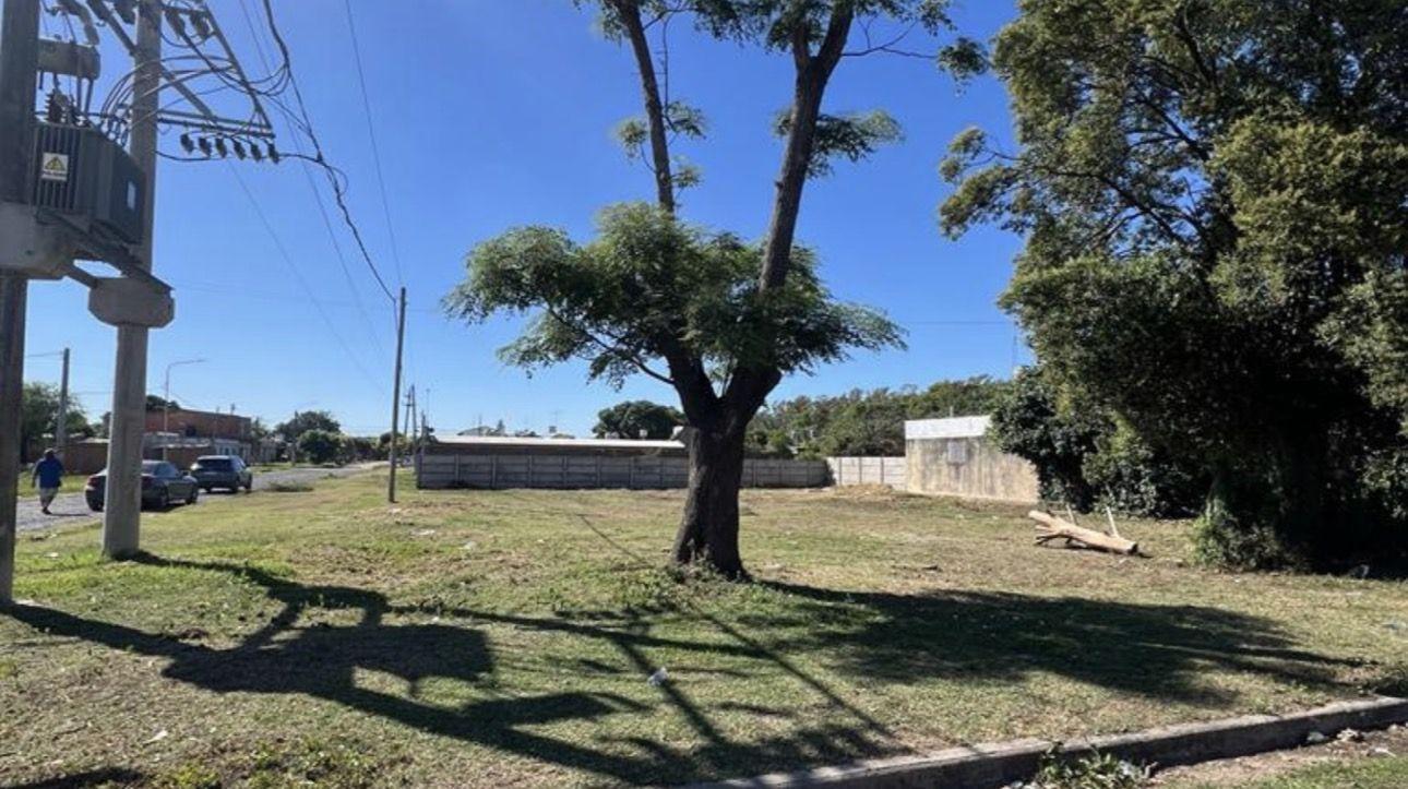 Foto de Lote . | SARMIENTO al 700, imagen 4