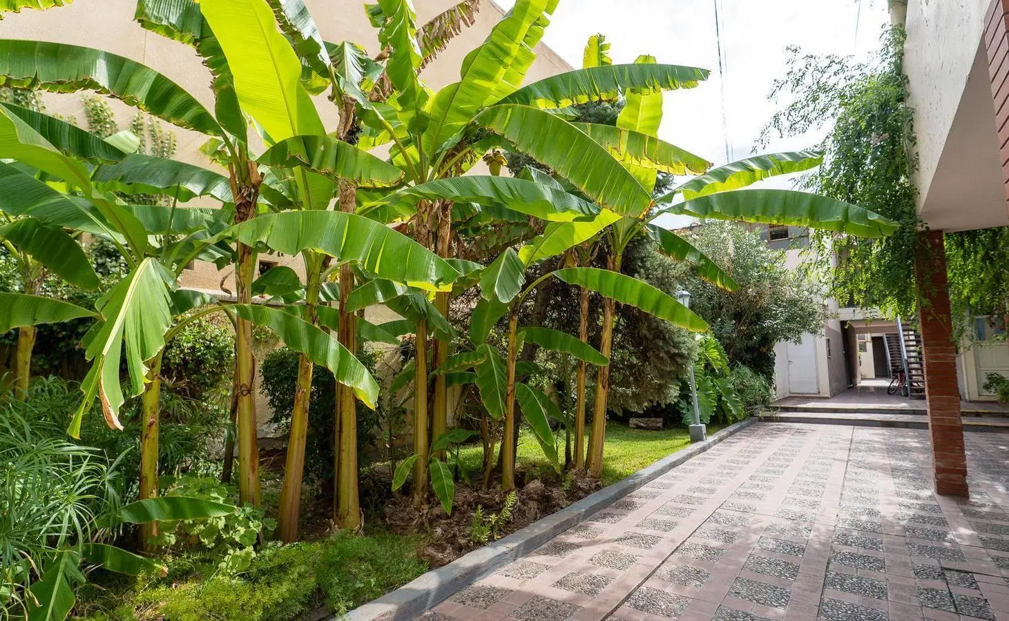 Departamento 80 m2 / 3 dormitorios / 1 baño / Patio / Lavandería / Barrio Bombal 3