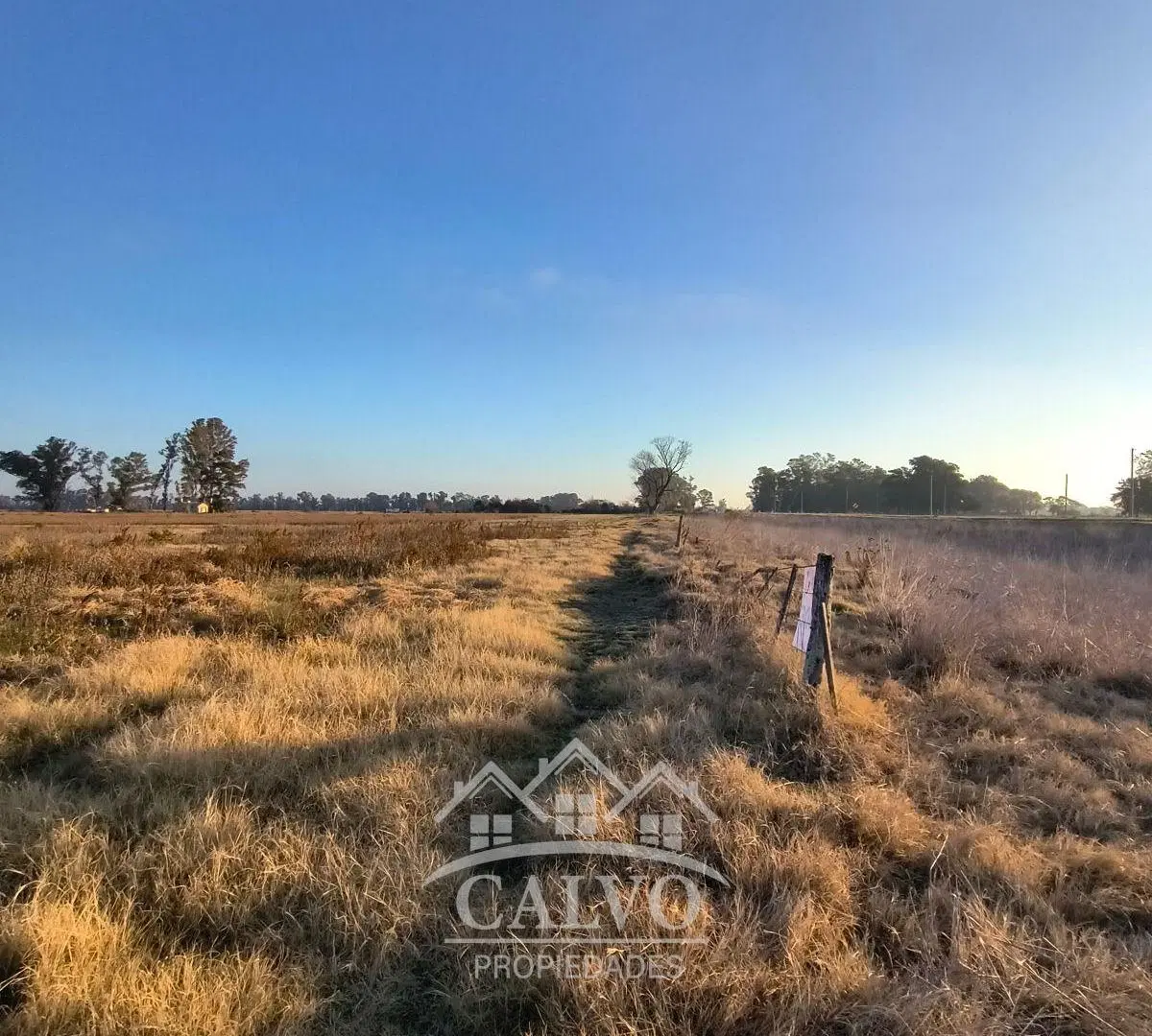 Campo 35HA Sobre Ruta Nacional 5. Mercedes, Buenos Aires. 5
