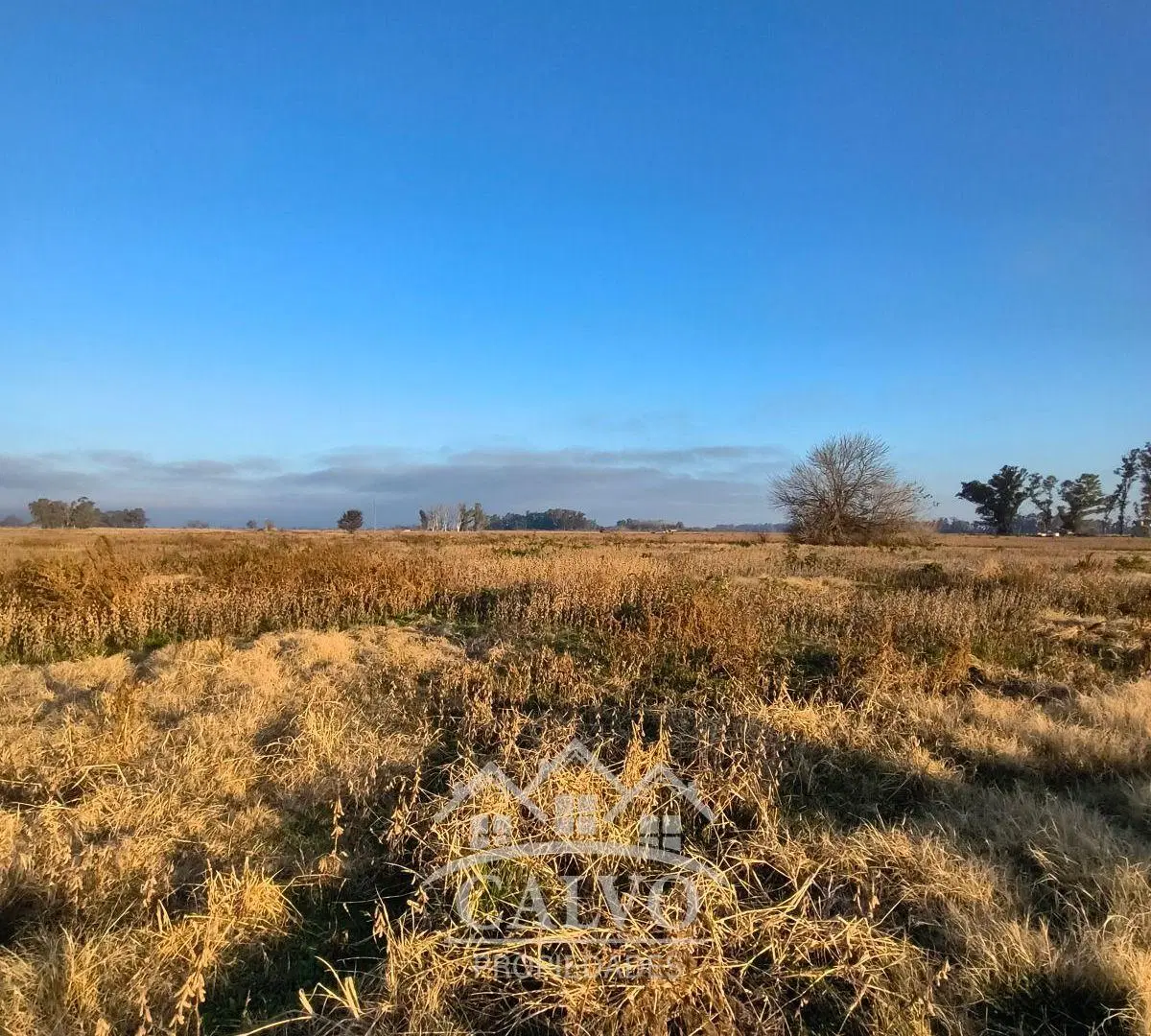 Campo 35HA Sobre Ruta Nacional 5. Mercedes, Buenos Aires. 4