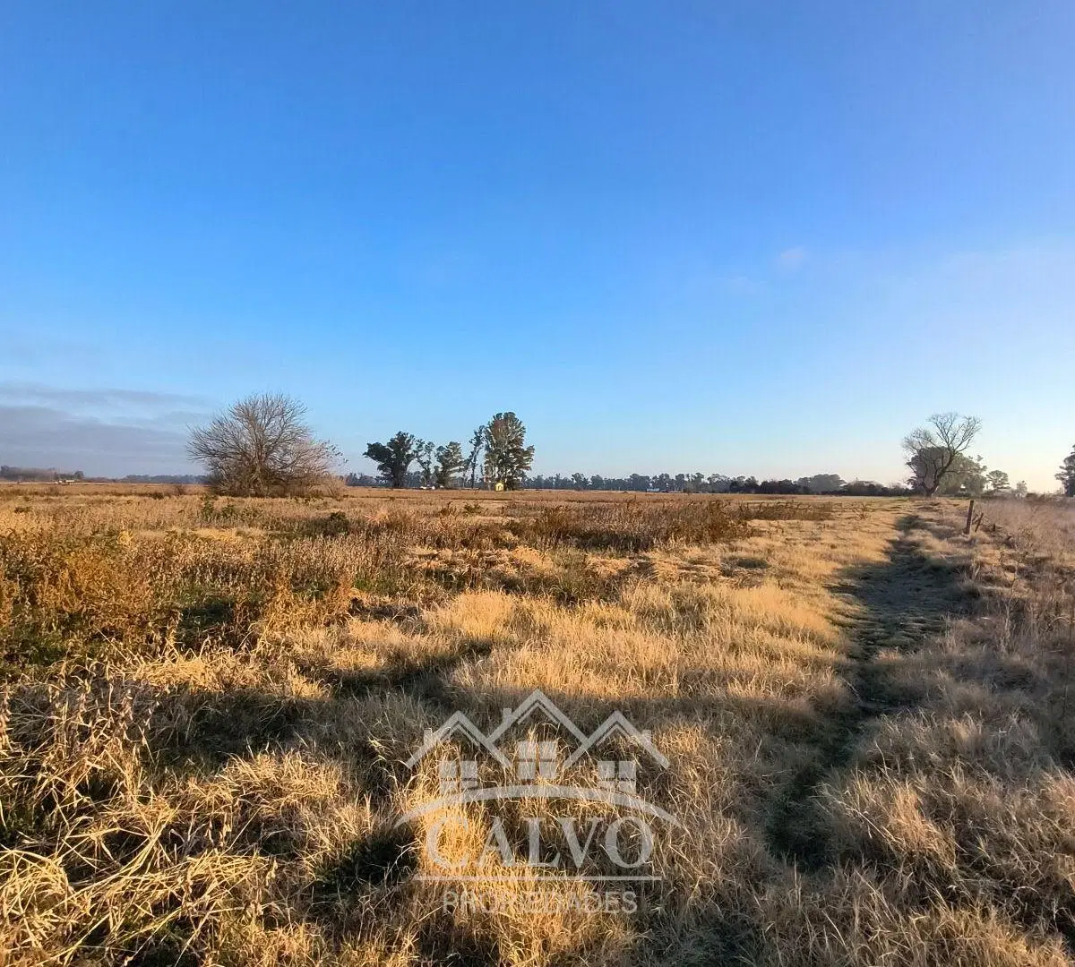Campo 35HA Sobre Ruta Nacional 5. Mercedes, Buenos Aires. 3