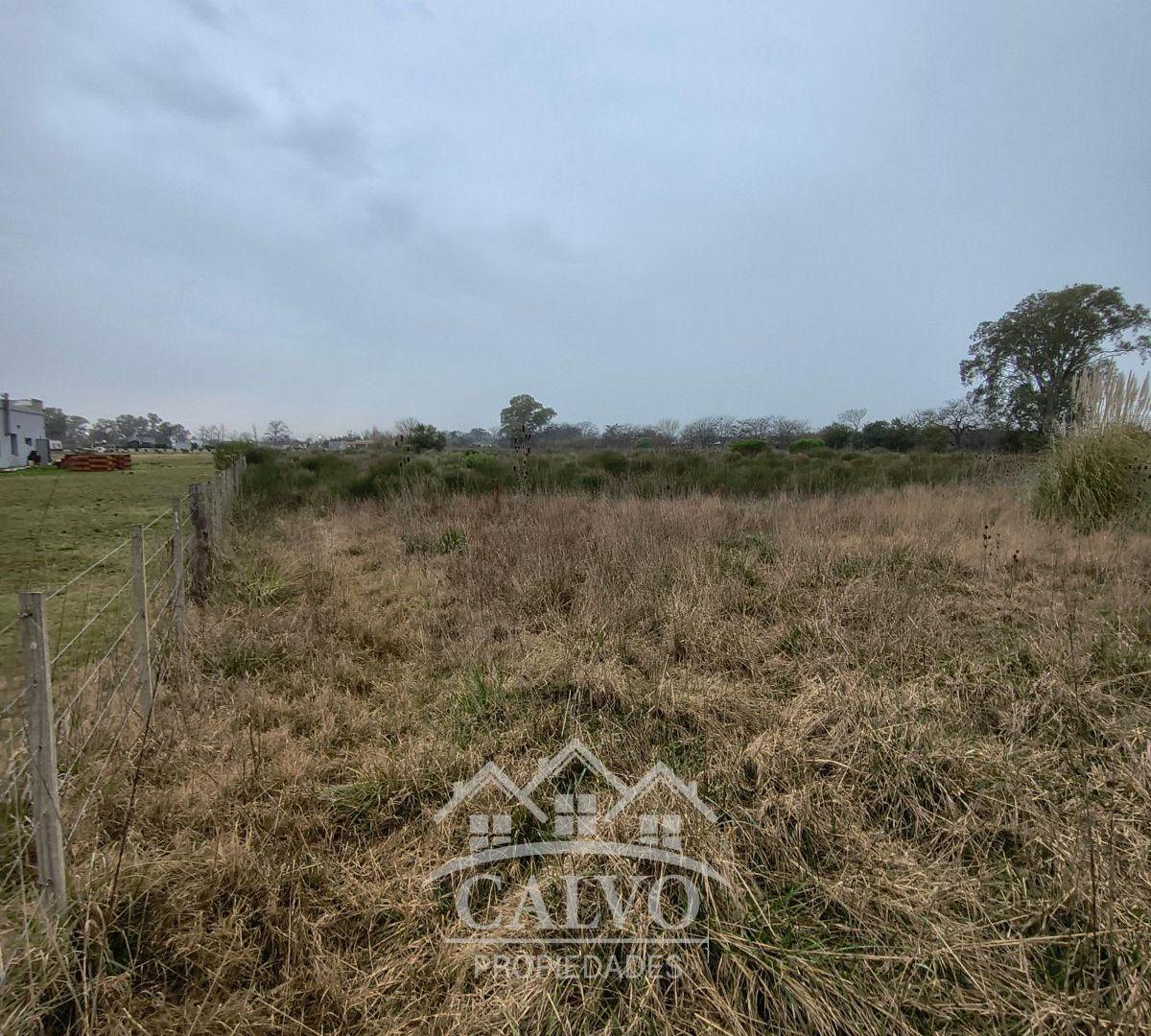 Fracción 1 HA en Venta. Mercedes, Buenos Aires.