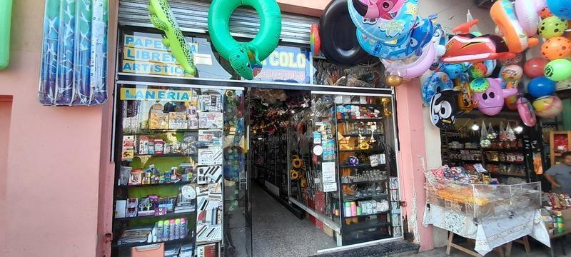 Local en General Villegas