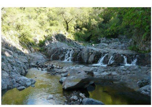 Venta Finca 4,85 Ha en Corboba 1