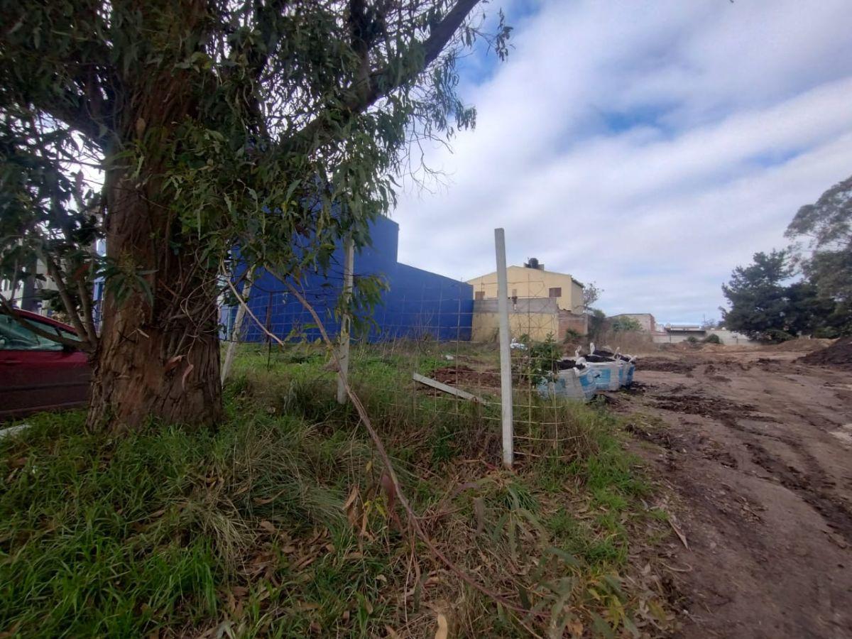 Foto de VENTA FRACCIÓN DE 1457 m2 SOBRE AU. JORGE NEWBERY, imagen 5