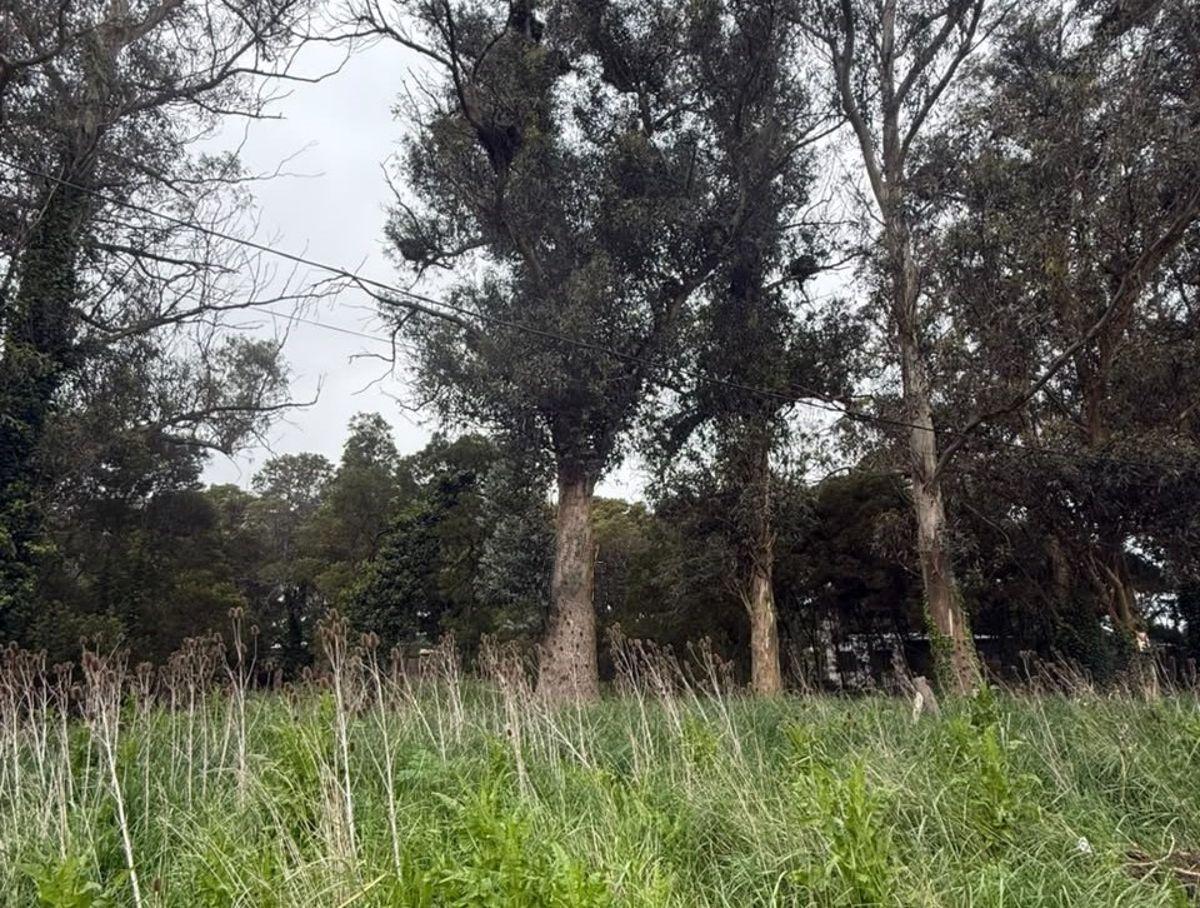 Foto de Venta 2 Lotes en Bloc en Acantilados, imagen 1