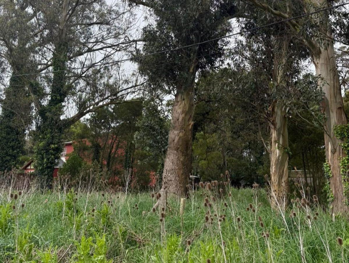 Foto de Venta 2 Lotes en Bloc en Acantilados, imagen 4