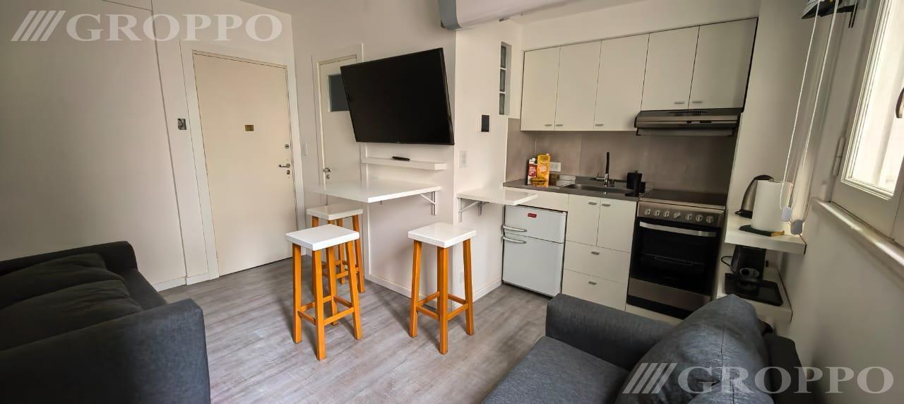 Foto de Departamento de 1 ambiente - Hermitage, imagen 5