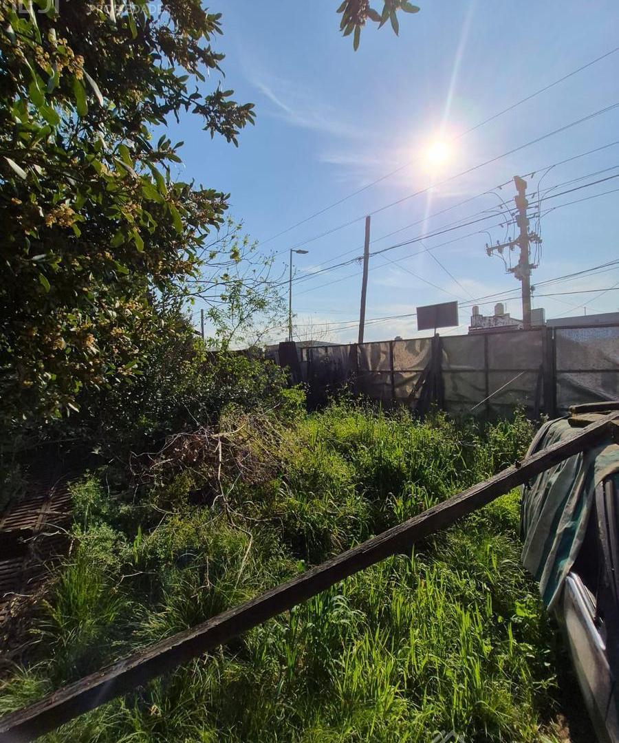 Foto de Excelente Lote de 480 m2 Temperley Este, imagen 4